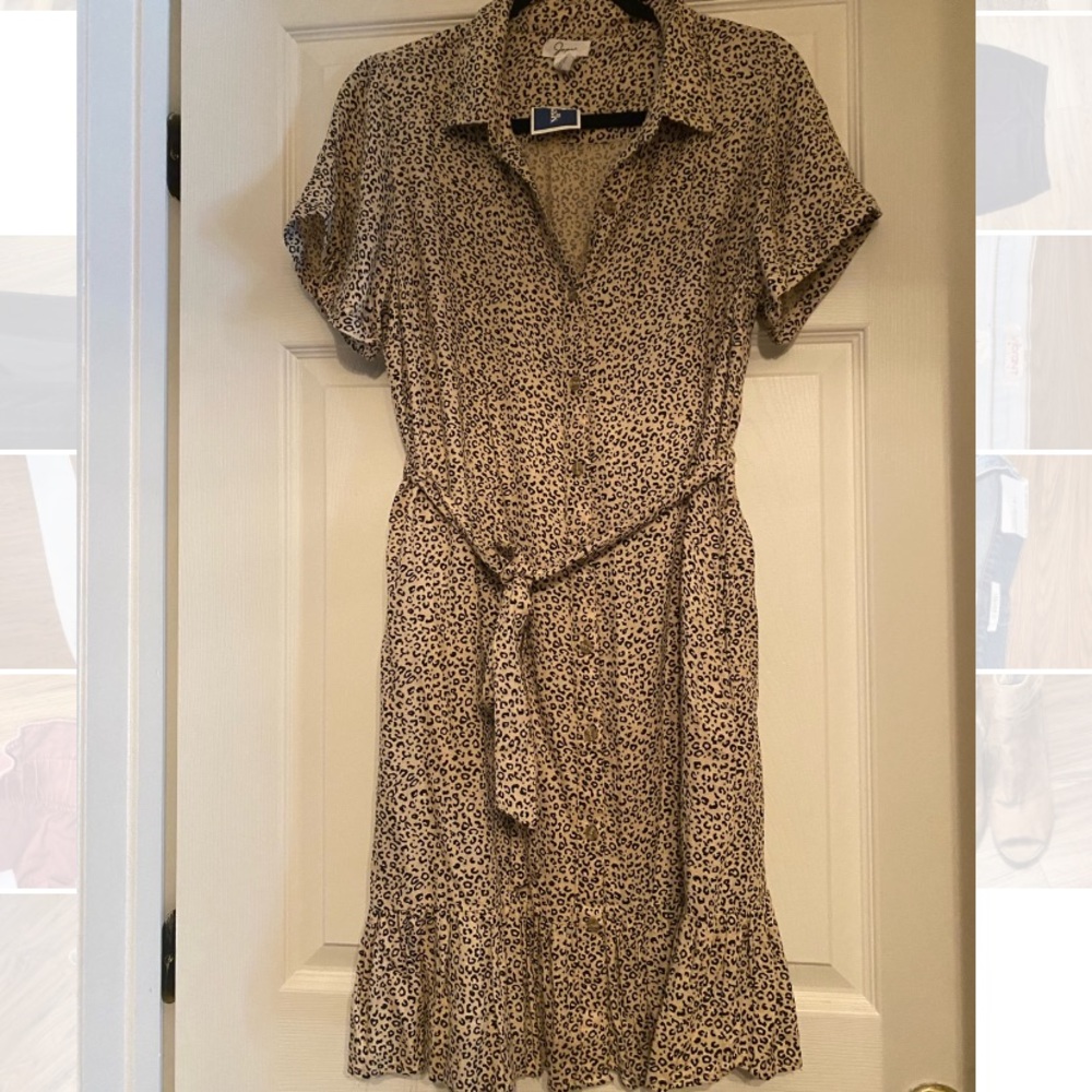 Leopard Print Dress